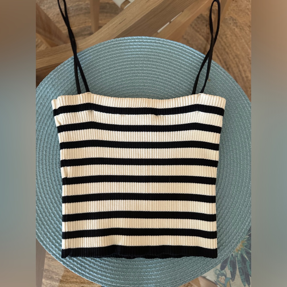Zara stripe crop top
